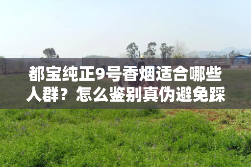 都宝纯正9号香烟适合哪些人群？怎么鉴别真伪避免踩坑？